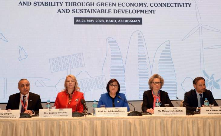На международной конференции в Баку обсуждена роль национальных парламентов в «зеленой» экономике