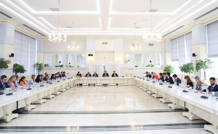 Meeting with Working Party on Eastern Europe and Central Asia of EU Council held at Azerbaijan`s Milli Majlis
