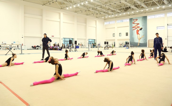 Şağan və Hövsan gimnastları Milli Gimnastika Arenasında təlim-məşq toplanışına başlayıblar
