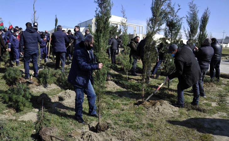 В Сабаильском районе посажены 613 деревьев для увековечения памяти жертв Ходжалинского геноцида
