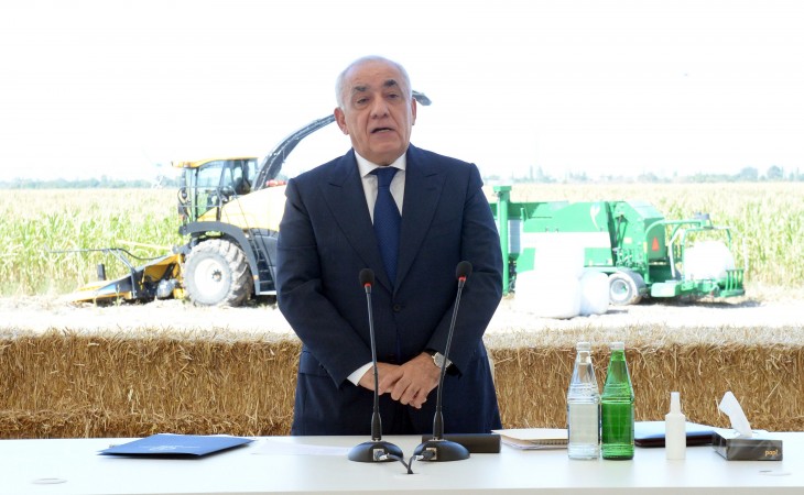 Prime Minister Ali Asadov chairs discussions about existing problems and challenges in production of food-grade wheat