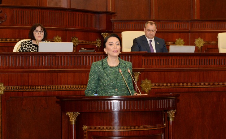 Сабина Алиева: В международные организации направлен специальный отчет об освобожденных территориях