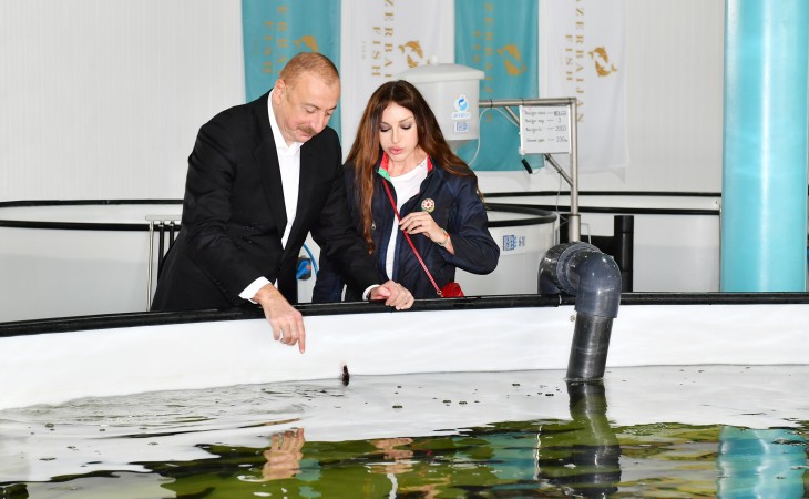 President Ilham Aliyev viewed conditions created at Sturgeon Breeding Farm owned by “Azerbaijan Fish Farm” LLC in Yenikand village, Neftchala