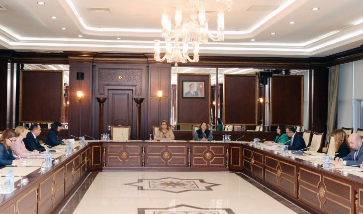 Parlamentin Ailə, qadın və uşaq məsələləri komitəsində 6 qanun layihəsi müzakirə olunub