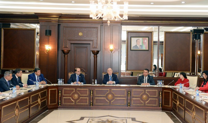 Milli Məclisin Səhiyyə komitəsi daha iki qanun layihəsini plenar iclasa tövsiyə edib