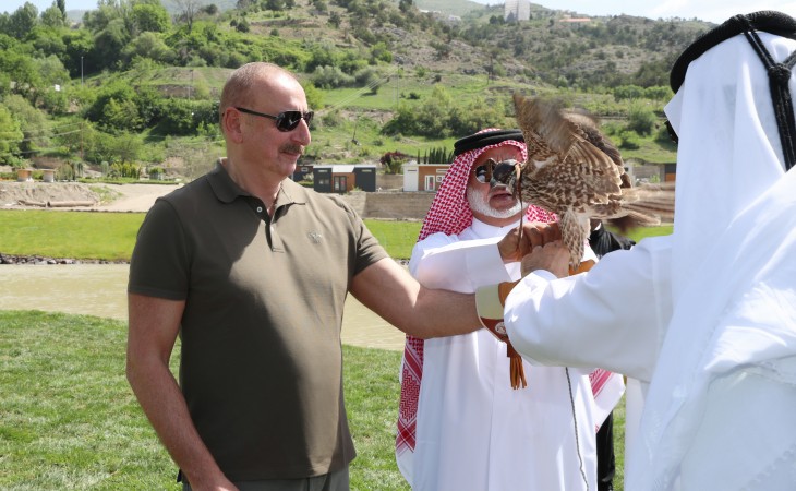 Laçın rayonunda Şərqi Qafqaz turları və şahin quşları təbiətə, müxtəlif növ balıqlar Həkəri çayına buraxılıb