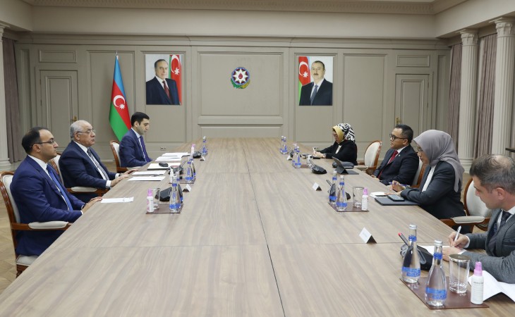 Baş nazir Əli Əsədov İndoneziyanın inzibati və bürokratik islahatlar naziri ilə görüşüb