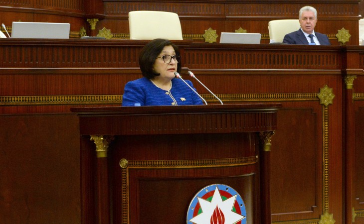 Sahibə Qafarova: Prezident İlham Əliyev Azərbaycanın rifahı üçün gördüyü işlərlə xalqımızın dərin rəğbətini qazanıb