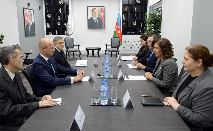 Azərbaycan ilə UNICEF arasında əməkdaşlıq məsələləri müzakirə edilib