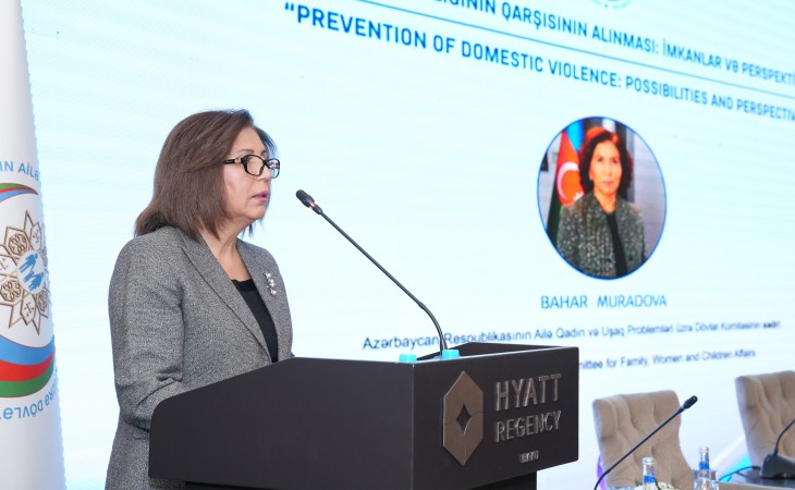 Bakıda məişət zorakılığı ilə mübarizəyə həsr olunmuş konfransın ilk günü yekunlaşıb