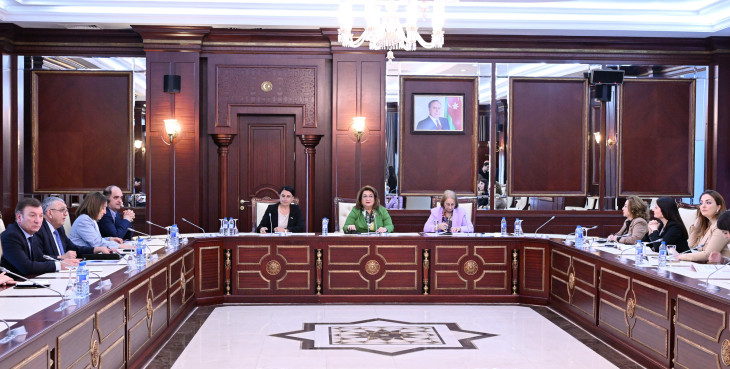 Parlamentdə Ailə, Qadın və Uşaq Problemləri üzrə Dövlət Komitəsinin illik hesabatı dinlənilir
