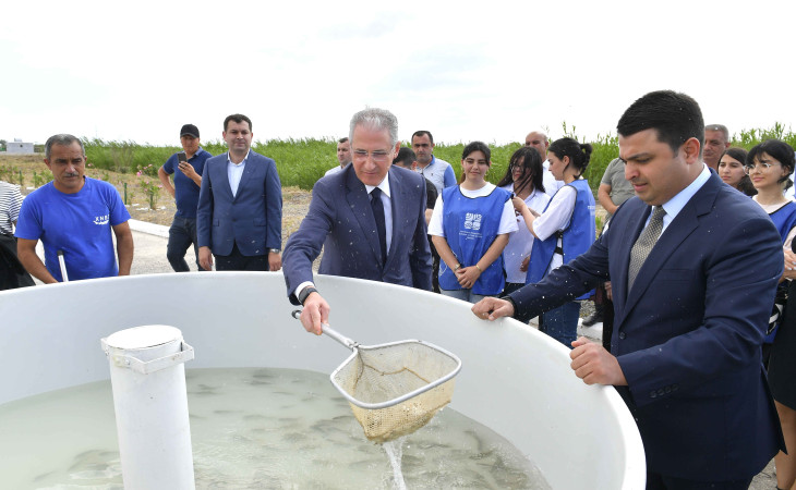 Kür çayına 600 min balıq körpəsi buraxılıb