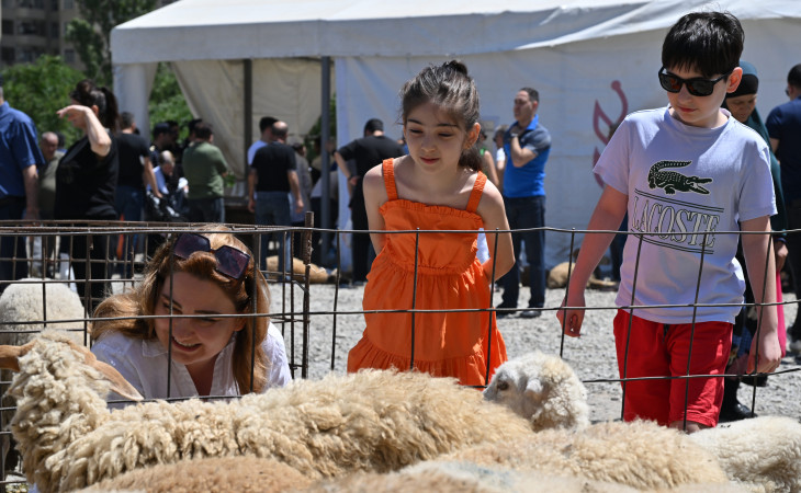 Qurban bayramı ilə əlaqədar heyvanların satışı və kəsimi həyata keçirilir
