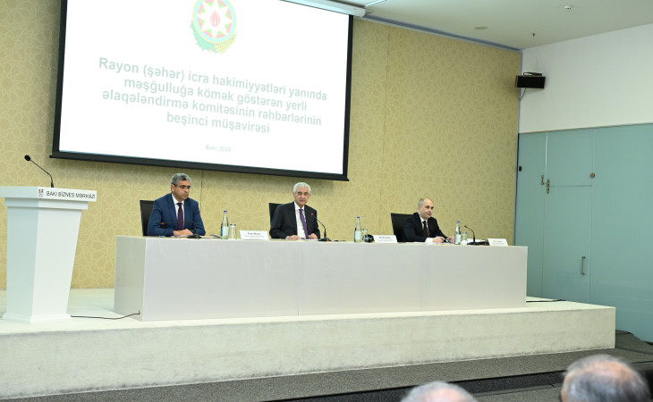 Məşğulluğa kömək göstərən əlaqələndirmə komitələrinin fəaliyyətinə dair növbəti respublika müşavirəsi keçirilib