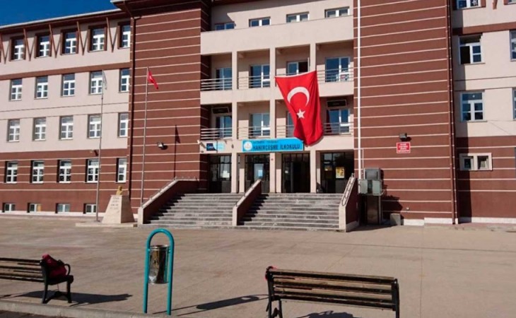Türkiyə məktəblərində yeni tədris ilinə distant üsulla başlanılacaq