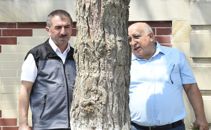 Aran bölgələrində ağaclarda zərərvericilərin kütləvi yayılmasının intensivliyi daha yüksəkdir
