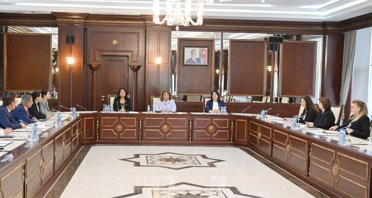 Parlamentin Ailə, qadın və uşaq məsələləri komitəsinin ilk iclası keçirilib