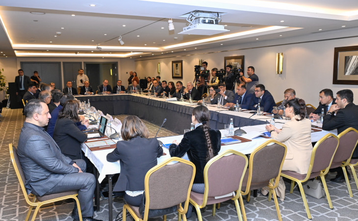 Azərbaycanda Beyin Mərkəzləri Platformasının və onun internet portalının təqdimatı keçirilir