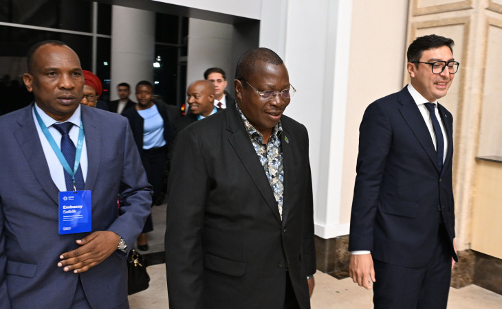 Tanzaniyanın Vitse-prezidenti Azərbaycana səfərə gəlib