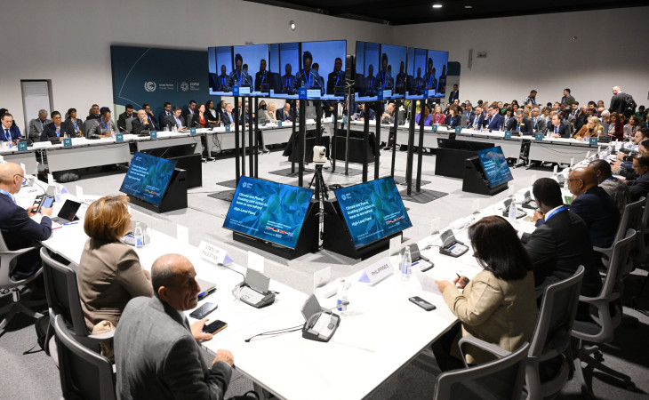 COP29 çərçivəsində “İqlim və Sülh: heç kimi arxada qoymamaq naminə birgə fəaliyyət” adlı yüksəksəviyyəli panel iclası keçirilir