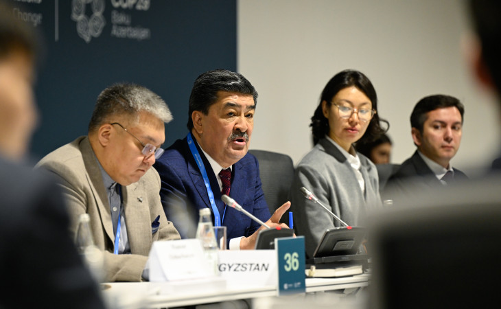 COP29-da dənizə çıxışı olmayan inkişaf etməkdə olan ölkələrin iqlim və inkişaf problemləri müzakirə olunub