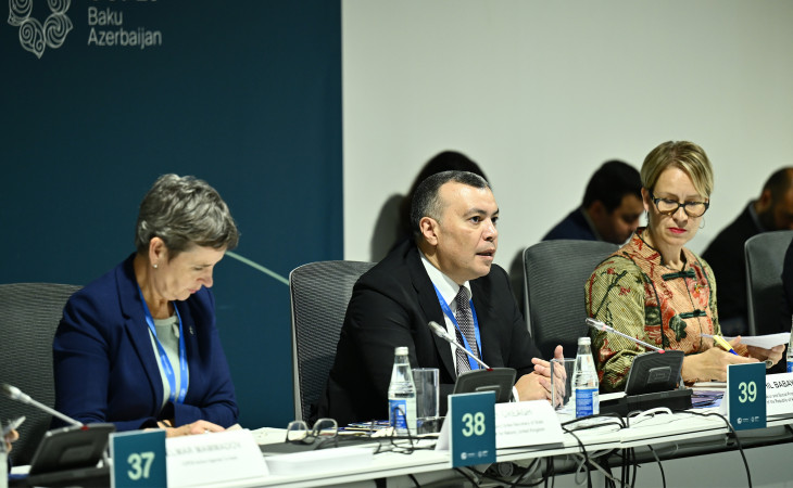 COP29: İnnovativ həllərin tətbiqi və yaşıl iş yerlərinin inkişafı ilə bağlı uğurlu təcrübələr müzakirə olunub