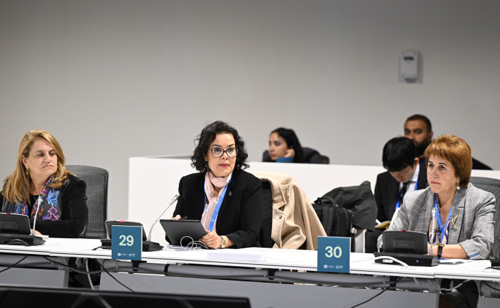 COP29-da aşağı emissiyalı ərzaq sistemlərinə transformasiyada elm və innovasiyanın rolu müzakirə edilib
