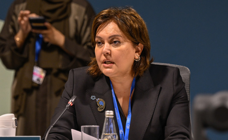 COP29 çərçivəsində Rio-Trio Təşəbbüsünə həsr olunmuş tədbir keçirilib