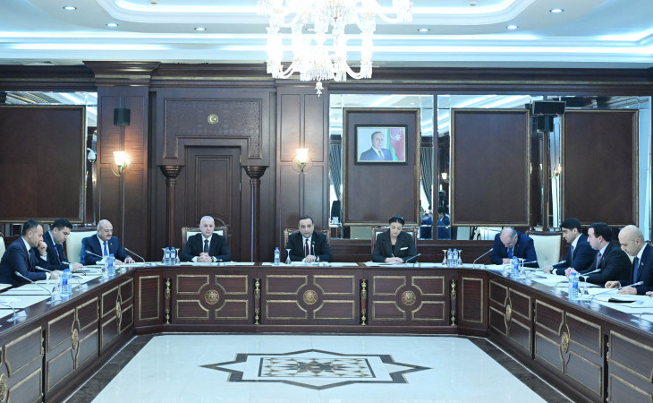 Milli Məclisin Gənclər və idman komitəsinin yaz sessiyası üçün iş planı təsdiqlənib