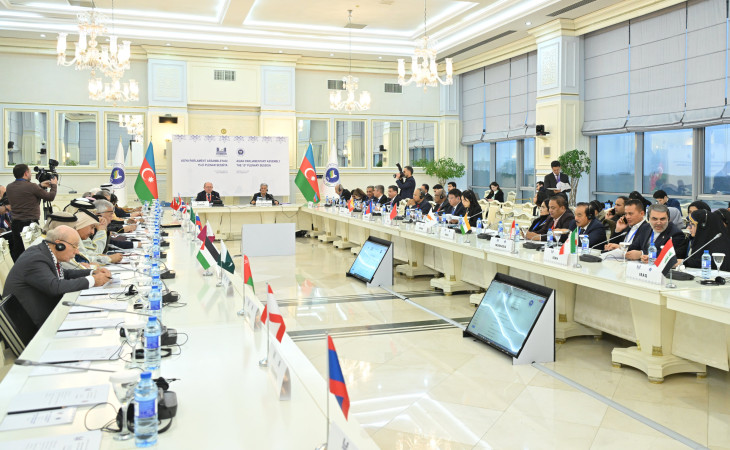Asiya Parlament Assambleyasının Sosial və Mədəni Məsələlər üzrə Daimi Komitəsinin iclası keçirilib