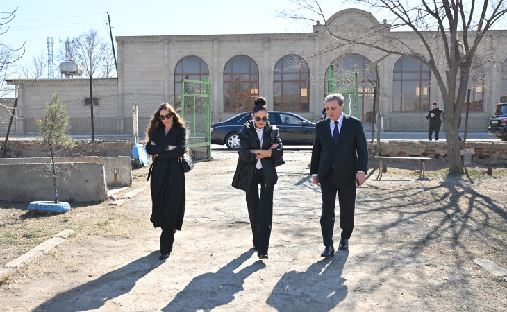 Birinci vitse-prezident Mehriban Əliyeva Gəncə şəhər 37 nömrəli tam orta məktəbdə aparılan təmir-bərpa işləri ilə tanış olub