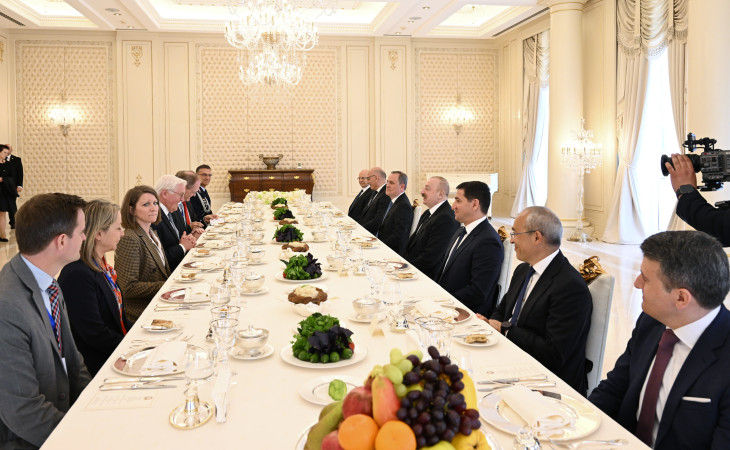 Prezident İlham Əliyevin adından Almaniya Prezidentinin şərəfinə rəsmi nahar verilib