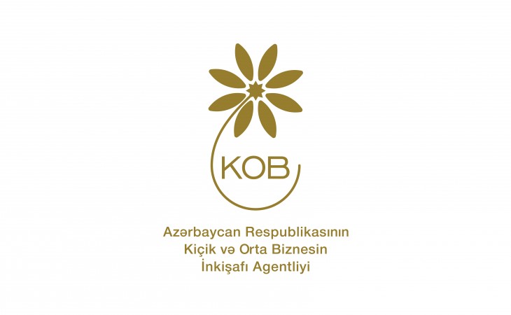 Menecerlərin ixtisasının artırılması üzrə Almaniya-Azərbaycan proqramı onlayn formatda davam etdirilir