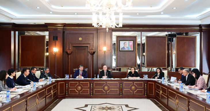 Milli Məclisin Səhiyyə komitəsinin iclasında müzakirəyə çıxarılan məsələ plenar iclasa tövsiyə olunub