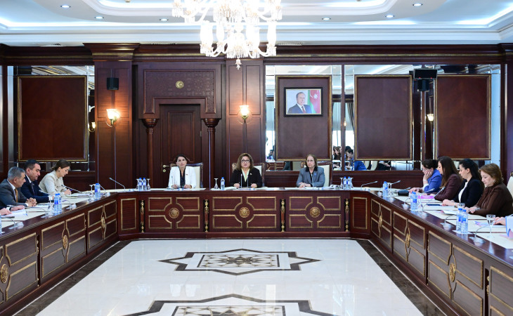AQUPDK-nin 2024-cü il üzrə məlumatı Milli Məclisin plenar iclasına tövsiyə olunub