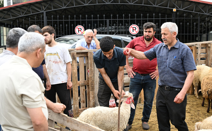 Qurban bayramı ilə əlaqədar heyvanların satışı və kəsimi həyata keçirilir 