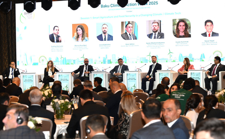 Bakı İqlim Fəaliyyəti Həftəsi çərçivəsində “İqlim dayanıqlığının sektorlar üzrə gücləndirilməsi” mövzusu müzakirə olunub