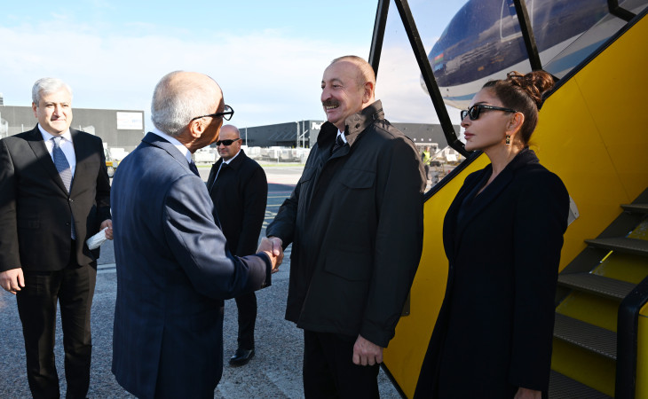 Azərbaycan Prezidenti İlham Əliyev Danimarkaya işgüzar səfərə gəlib 