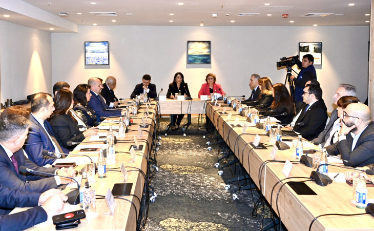 Ombudsman yanında “Psixi sağlamlıq və insan hüquqları” sahəsində İşçi Qrupun ilk iclası keçirilib