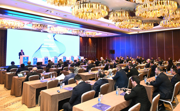 Bakıda “Enerji təhlükəsizliyi” mövzusunda seminar keçirilir
