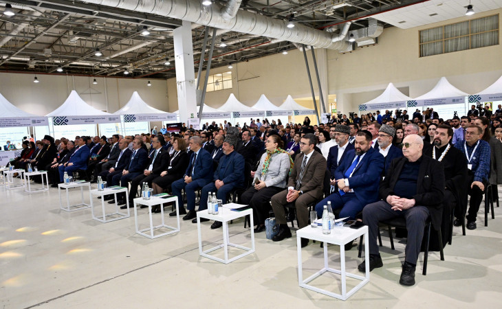 Bakıda “Fərqliliyin rəngi” adlı festival keçirilib 
