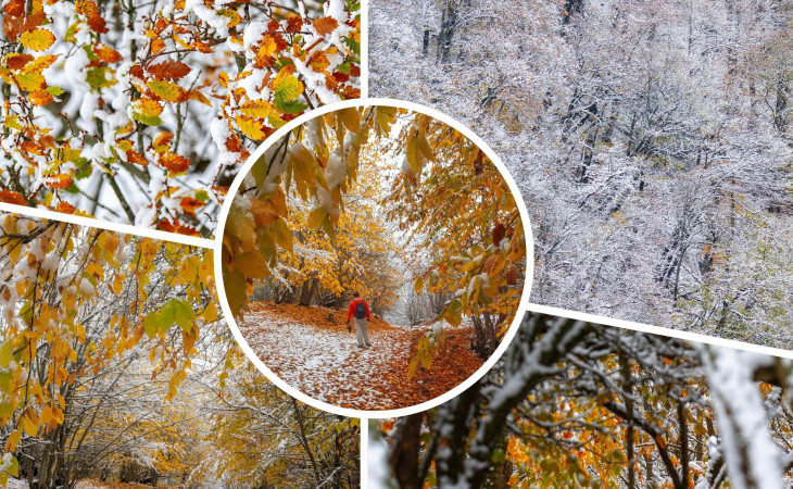 Встреча осени с зимой в лесах Пиргули