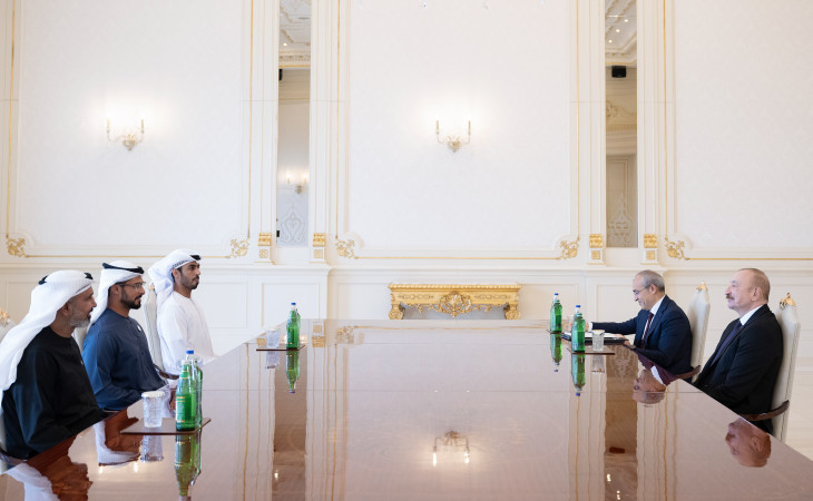 President Ilham Aliyev received heads of several UAE companies