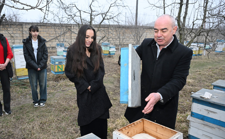 Лейла Алиева побывала в гостях у семьи пчеловода в Губе