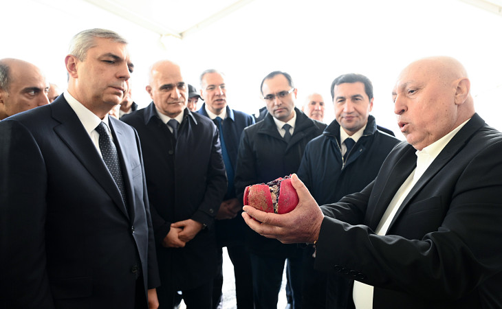 Xocavənd rayonunda bağçılıq təsərrüfatına baxış keçirilib