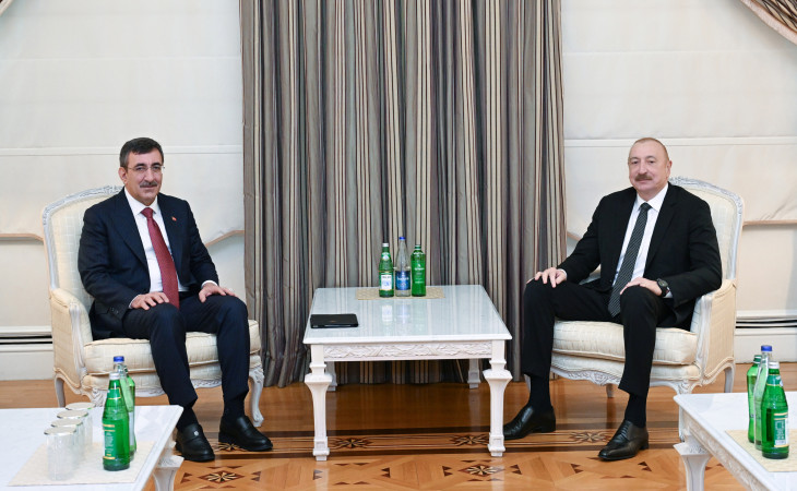 Prezident İlham Əliyev Türkiyənin Vitse-prezidentinin başçılıq etdiyi nümayəndə heyətini qəbul edib