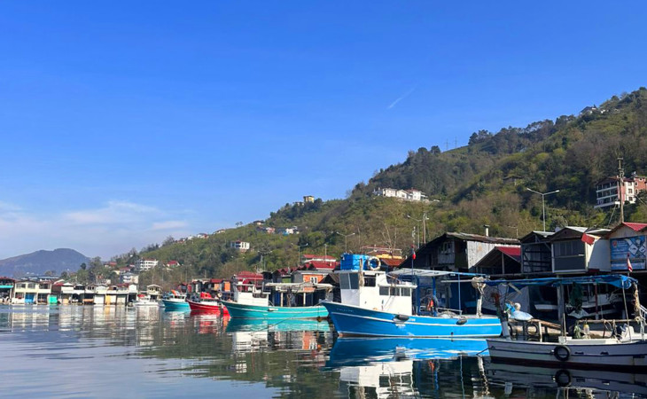 Aydər yaylası, sən necə də gözəlsən...- FOTOLAR