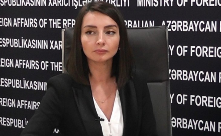 Лейла Абдуллаева: Азербайджан не нуждается во внешней силе для восстановления территориальной целостности