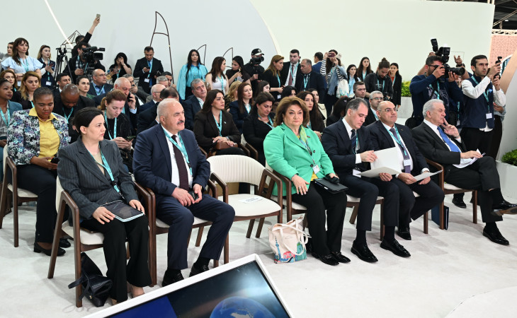 WUF13 çərçivəsində “Erkən xəbərdarlıq və iqlimədayanıqlı şəhərlər” mövzusunda tədbir olub