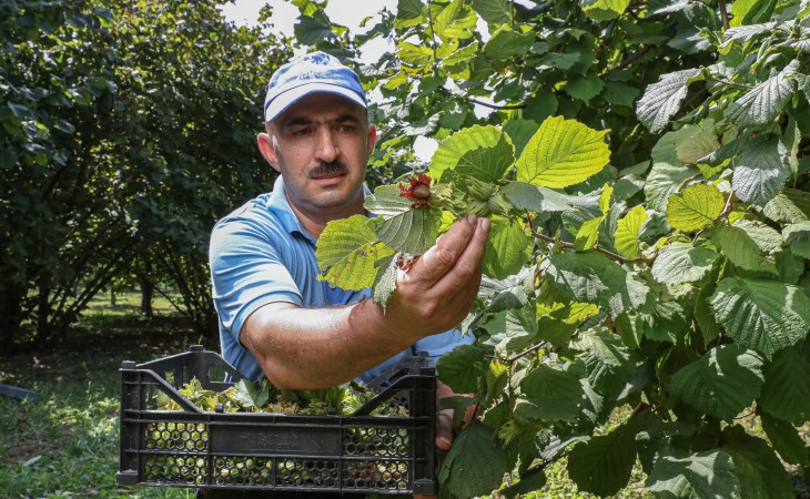 “BioGarden” təsərrüfatından FOTOREPORTAJ